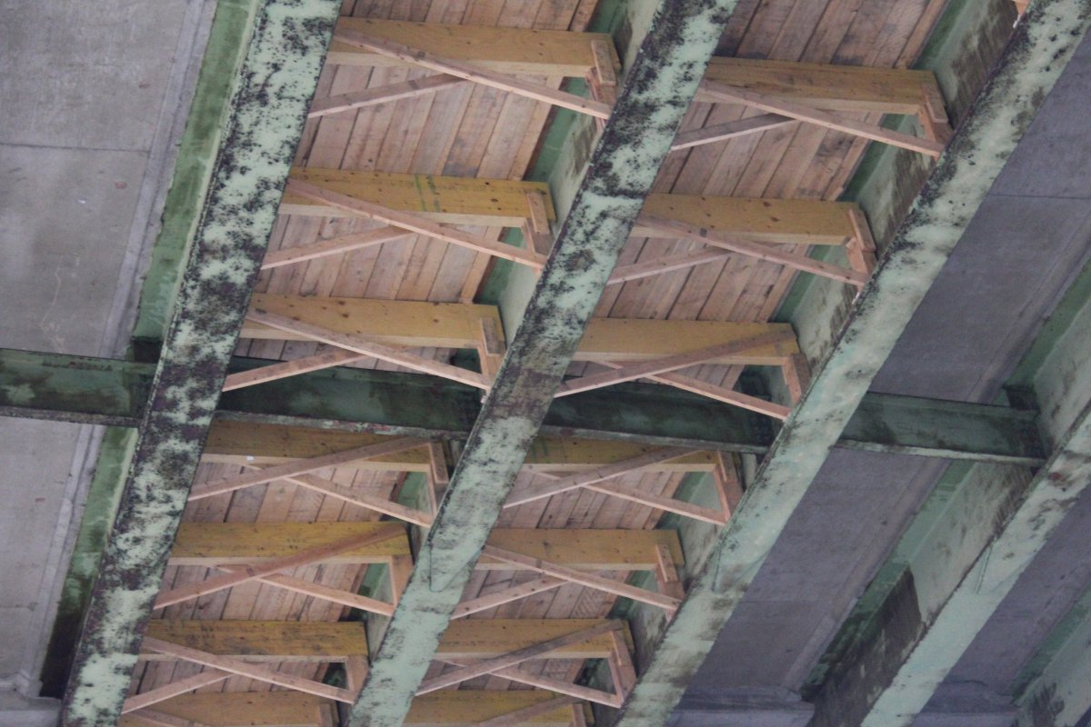 Timber support structure under Gardiner