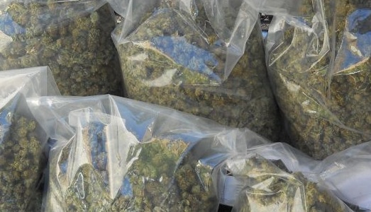 Prohibited driver caught with seven pounds of pot - image