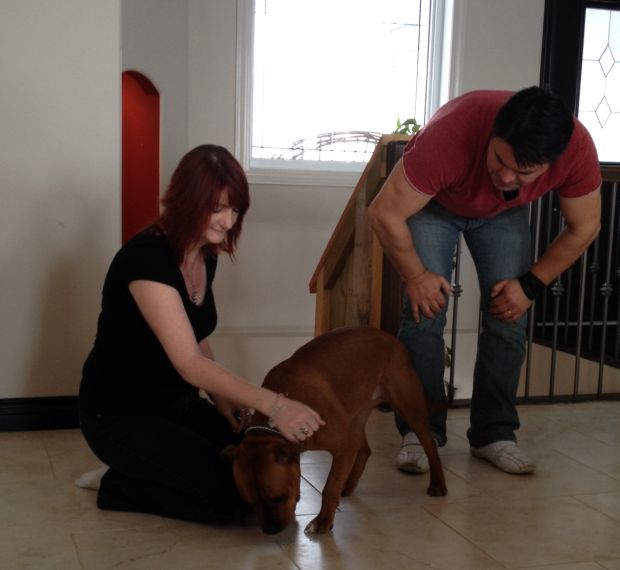 Owning certain pets may impact your home insurance coverage - image