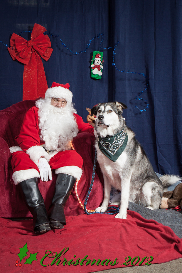 Pet pictures with Santa for a cause - image
