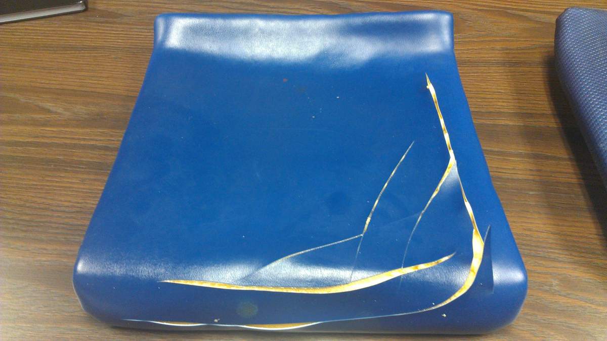 Surrey man arrested for slashing almost 500 SkyTrain seats - image