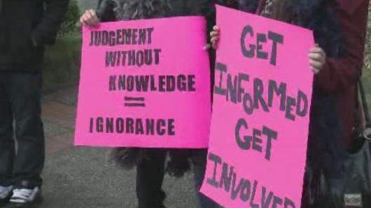 Secondary school students hold protest to shut down New Westminster strip club - image
