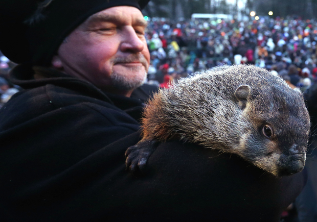 Gallery: Punxsutawney Phil | Globalnews.ca