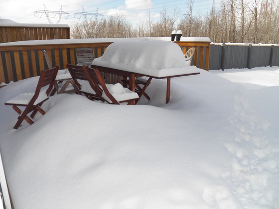 Snow in the Capital Region, March 18, 2013.