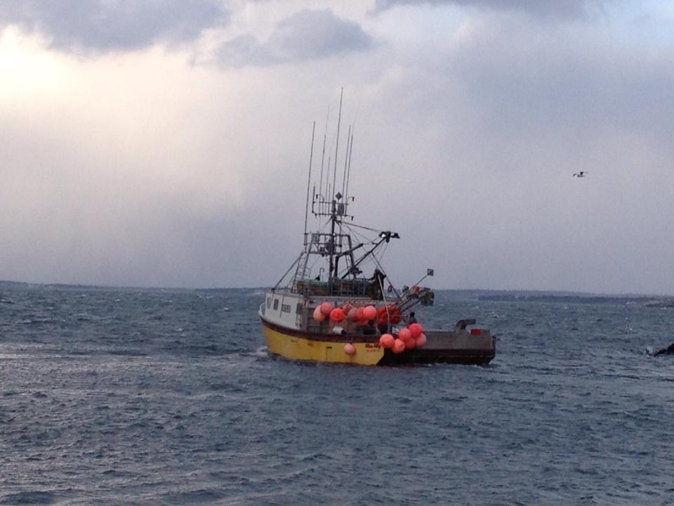 N.S. Premier To Propose Day Dedicated To Miss Ally Crew, Fishermen Lost ...