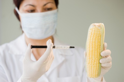 Protesters petition for labels on genetically modified fodos - image