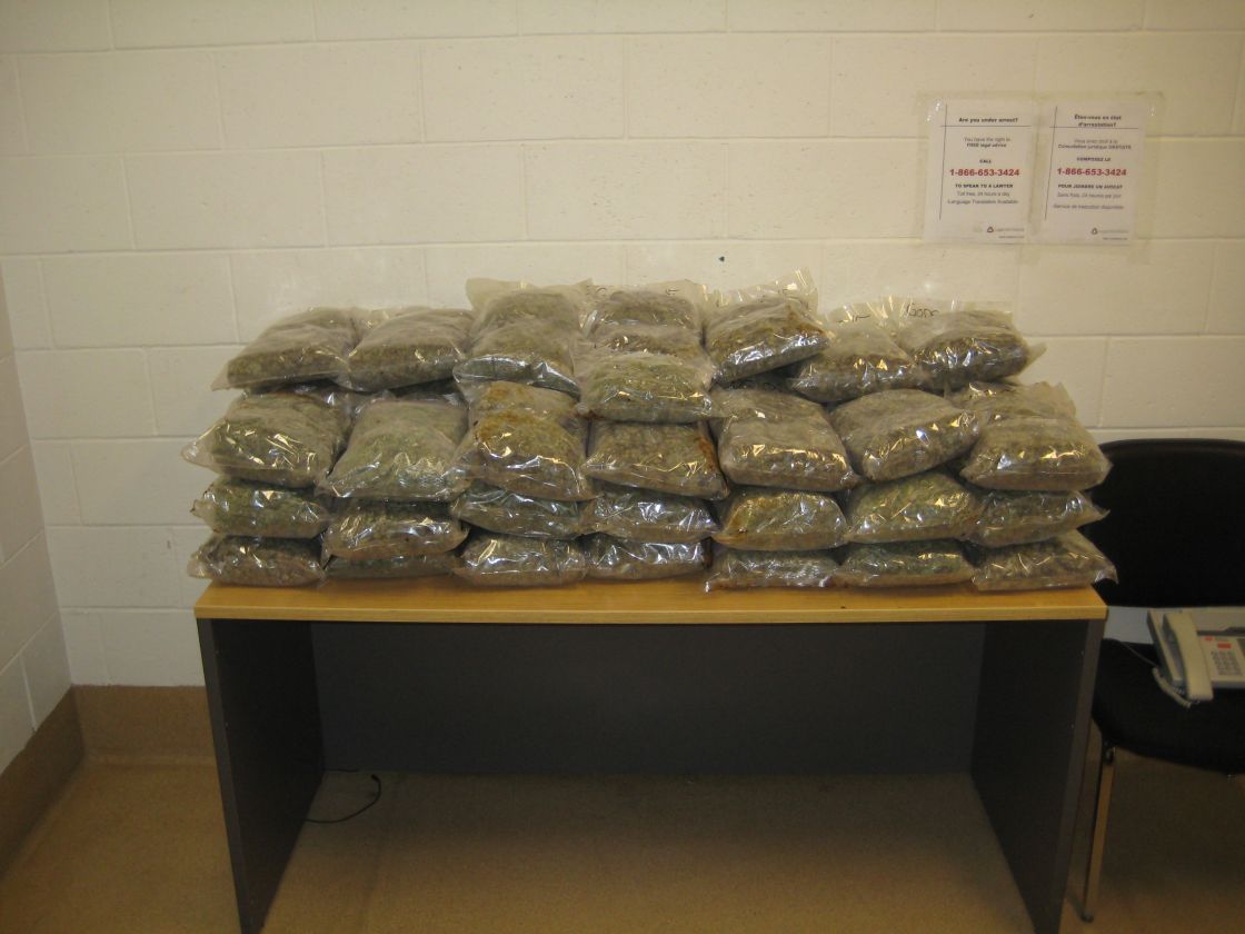 49 pounds of marijuana were seized by Canmore RCMP after a man was pulled over for speeding.