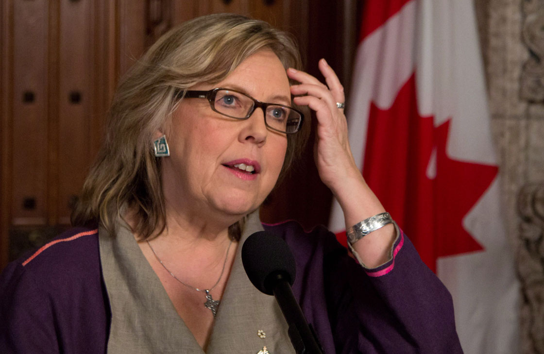 Green Party leader Elizabeth May was prevented from addressing the government Wednesday. 