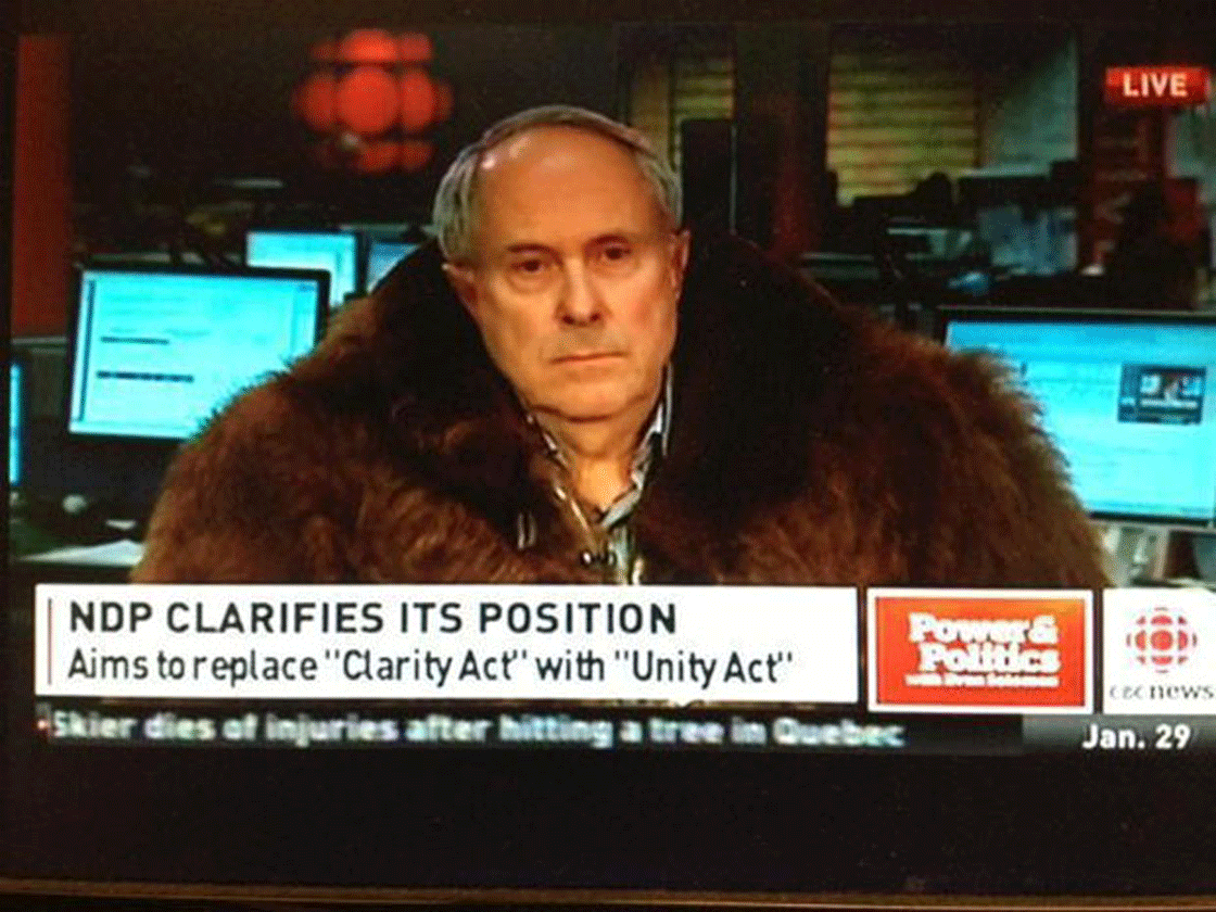 A dashing Tom Flanagan in fur speaking on CBC's Power and Politics in January, 2013.