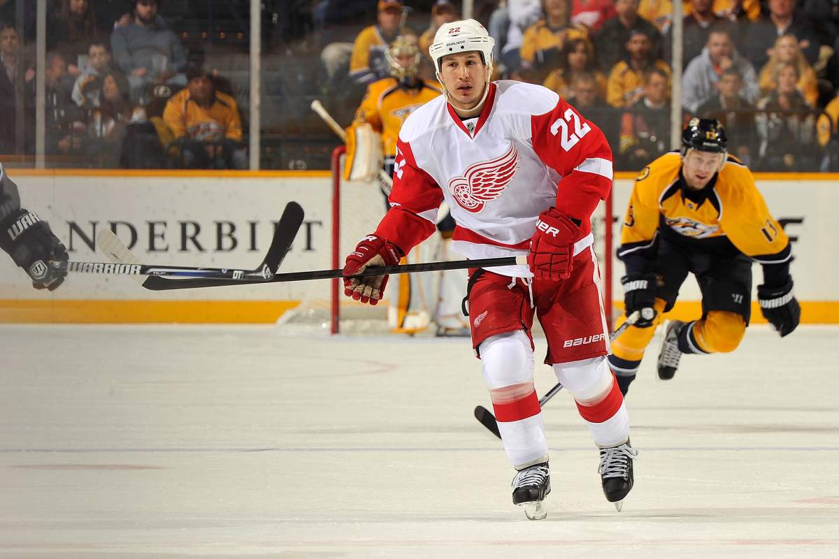 Jordin Tootoo #22 of the Detroit Red Wings skates against the Nashville Predators at the Bridgestone Arena on February 19, 2013 in Nashville, Tennessee.