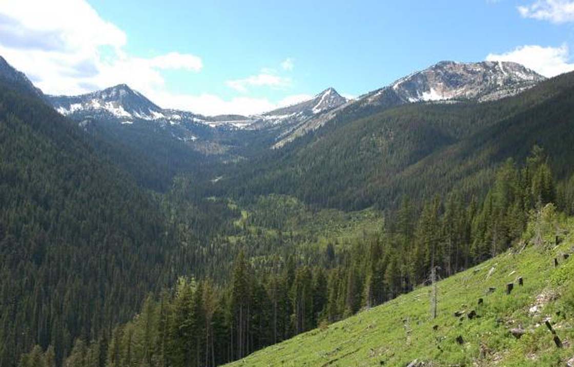 A scathing report from B.C.'s auditor general has found that Encana's project was projected to be more financially beneficial to the company than its previous practices, regardless of offset revenue, while the Darkwoods property (shown here) was acquired without offsets being a critical factor in the decision.