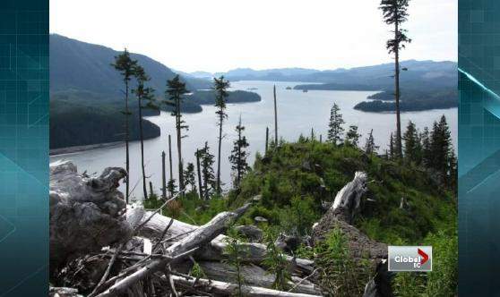 Port Alice.
