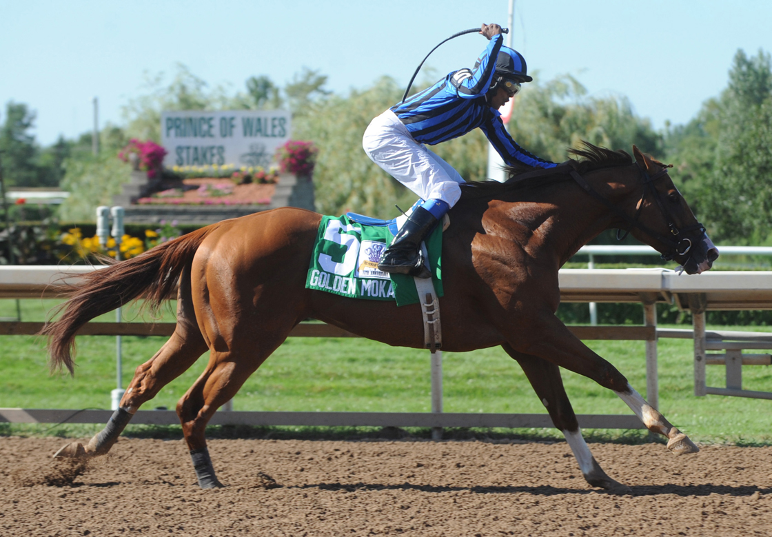 Fort Erie race tracks ontario politics