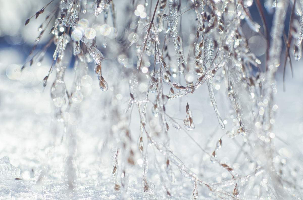 A freezing rain warning is in effect for parts of Alberta, including the Edmonton area.
