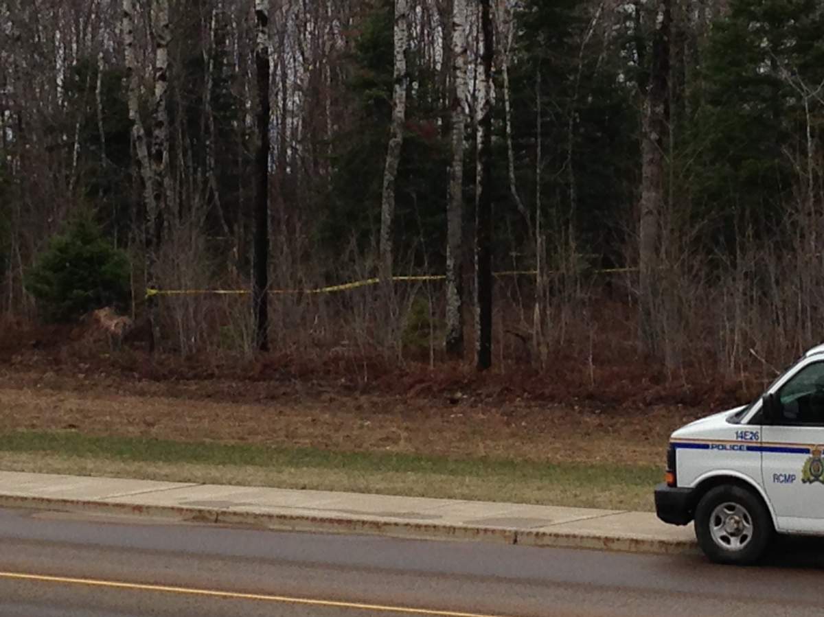 Body was found Saturday afternoon in this wooded area just off Gunningsville Blvd. in Riverview, NB. 