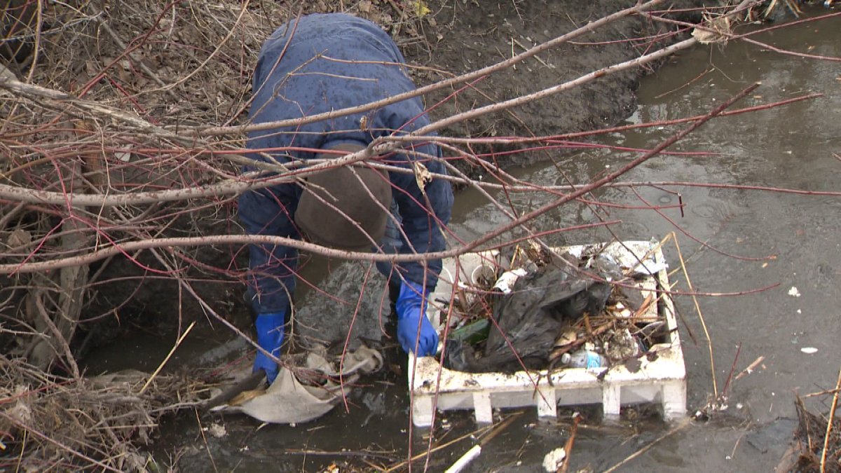 Volunteers at a cleanup in the West Island got a mucky reception.
