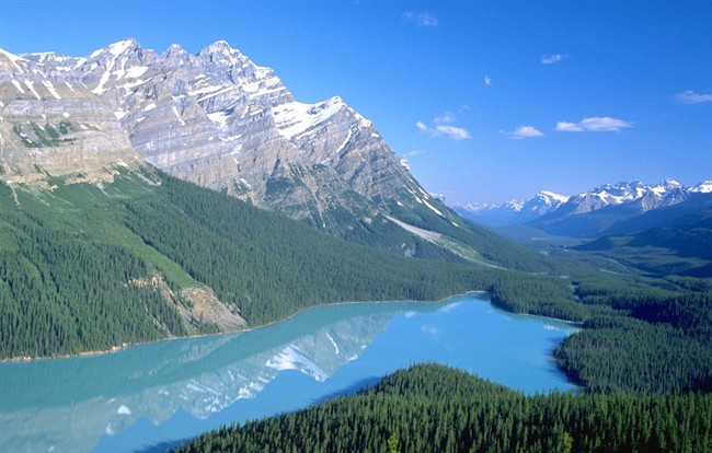 A view of Peyto Lake in Banff National Park is shown in this undated handout photo. 