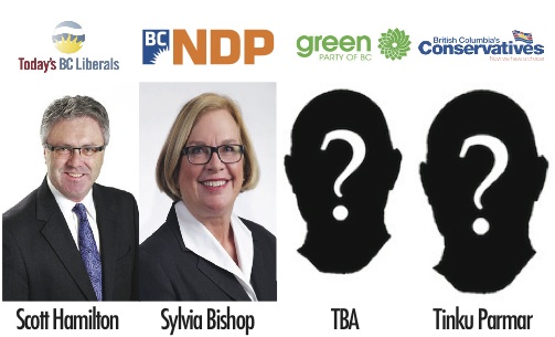 Decision BC: Delta North - image