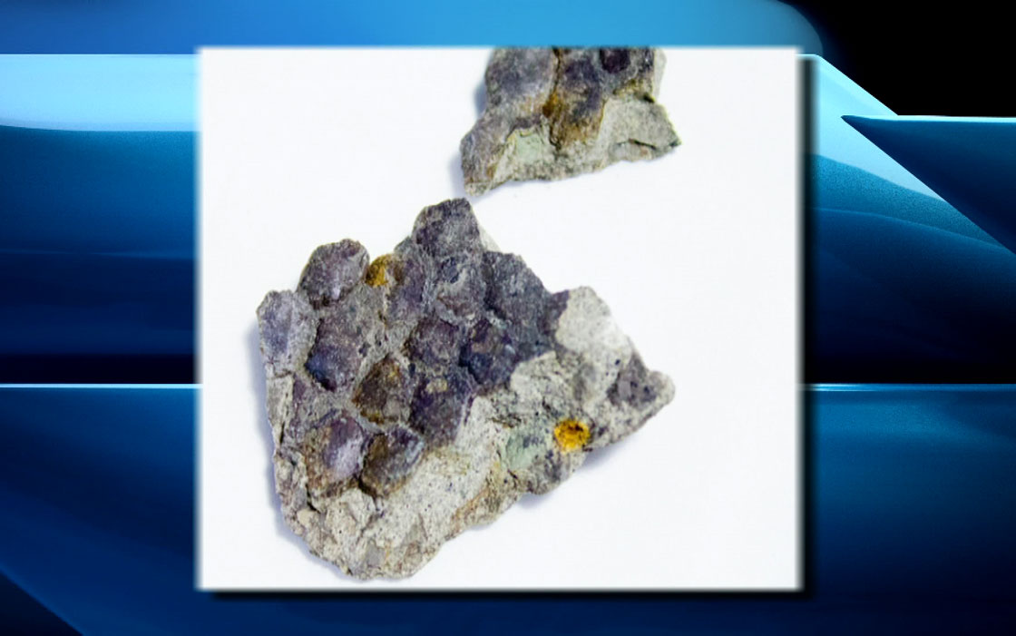 Canadian Light Source synchrotron experiments performed on rare dinosaur fossil to unlock cretaceous secrets.