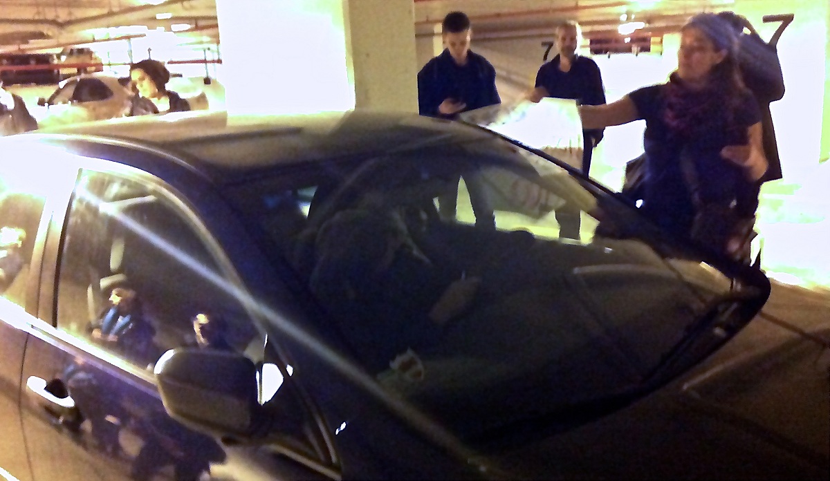 EXCLUSIVE: Alleged death threat drives McGill student back to Egypt - image