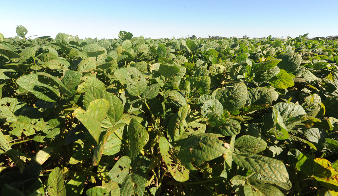 A new study from Bank of Montreal says Canadian farmers hold a competitive advantage over others, placing the sector in a better position to increase trade with foreign markets. 