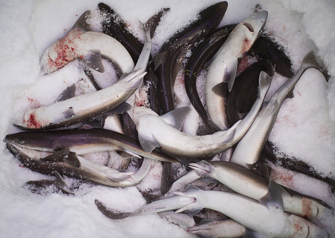 After a five-year fight fishermen from the Eskasoni First Nation in Cape Breton have been told that income earned from their communal fishery is now considered tax exempt.