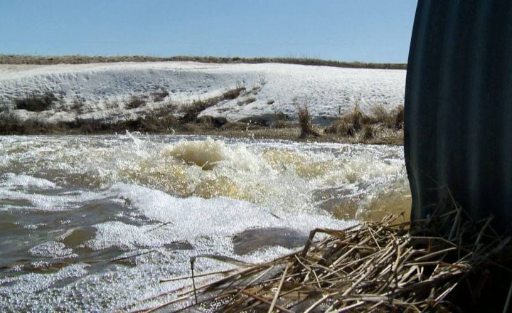 The municipality of Maidstone is the first in Saskatchewan to declare a state of emergency this spring flooding season.