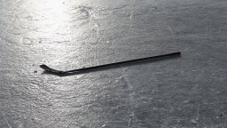Photo of a hockey stick