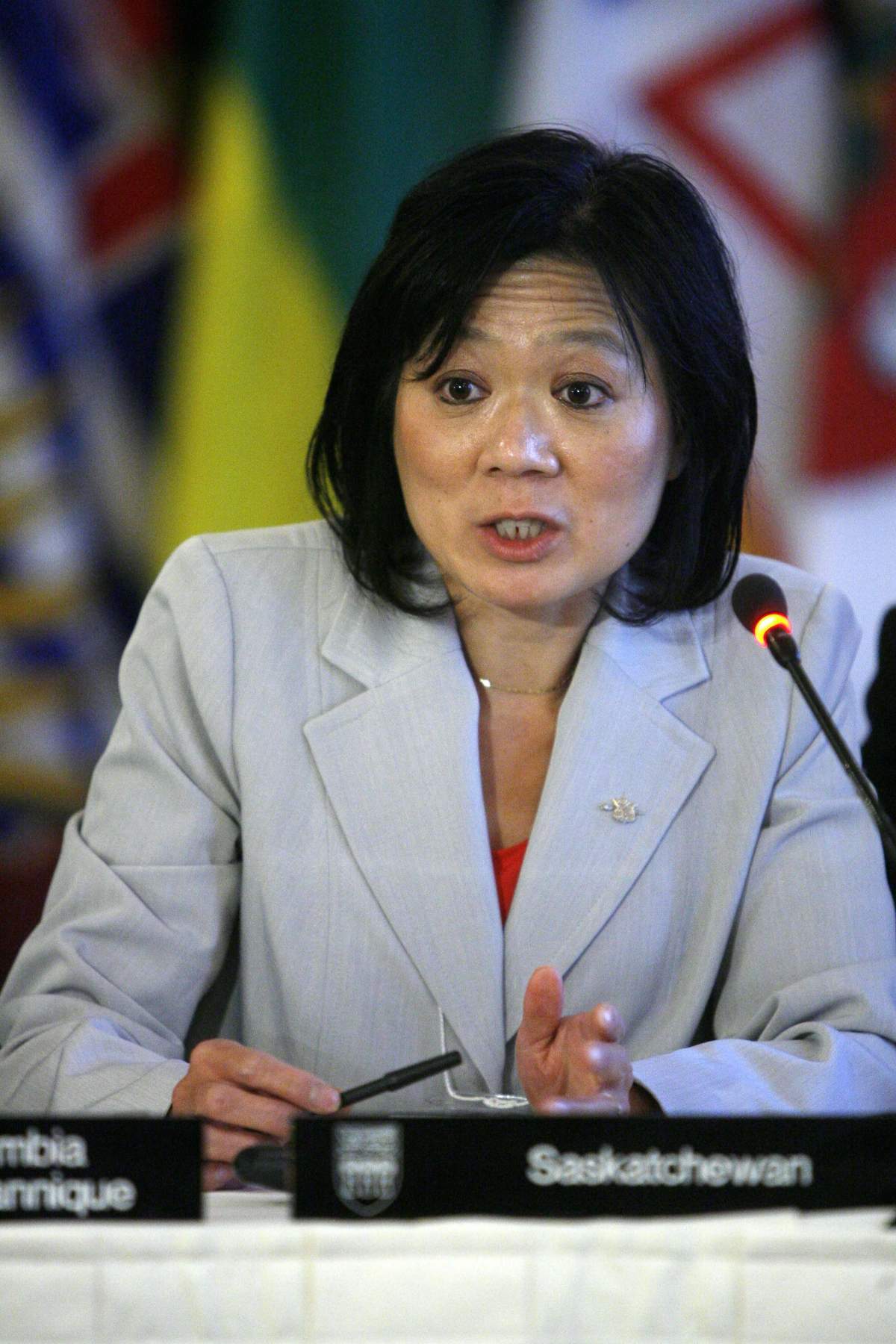 Liberal Chong in tough in Island riding - image