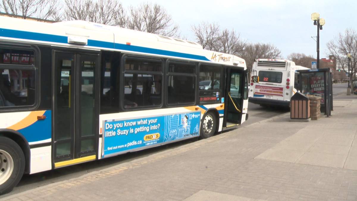 Lethbridge Transit buses parked at the downtown terminal. 