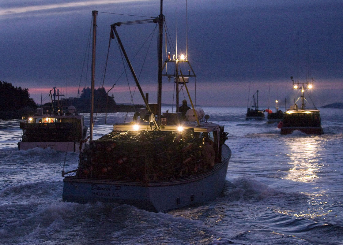 Fisherman dies after falling overboard off southwestern Nova Scotia: RCMP - image
