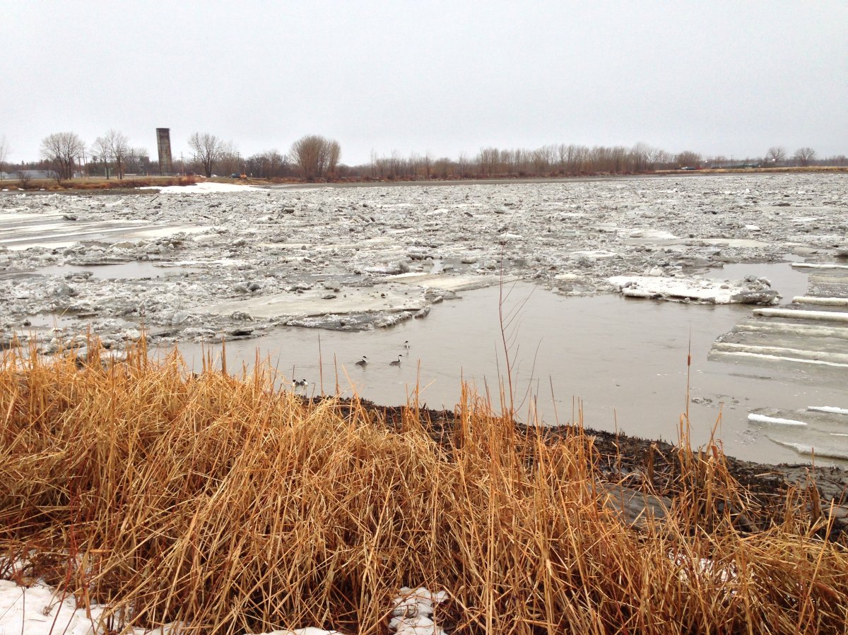 The Manitoba government is launching a review of the operating guidelines for some of its major flood-fighting structures.