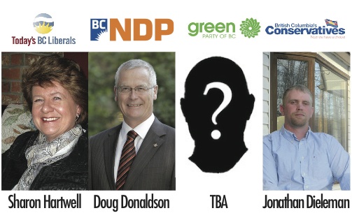 Decision BC: Stikine - image