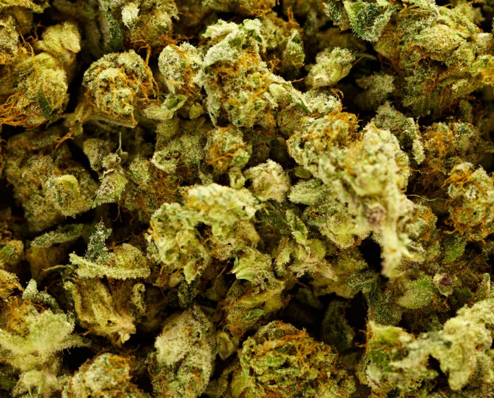 A speeding Lloydminster driver was busted by the RCMP with over three pounds of marijuana.