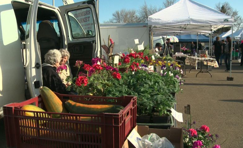 More Albertans are supporting the local food movement - image