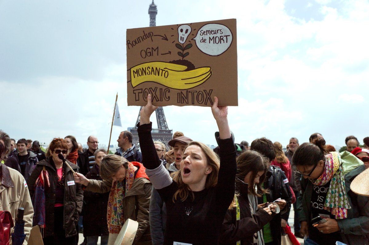 Anti-genetically modified organism (GMO) activists gather on the Trocadero square near the Eiffel tower during a demonstration against GMOs and US chemical giant Monsanto on May 25, 2013 in Paris.