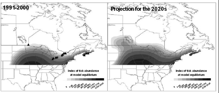 The projected spread of ticks across Canada.