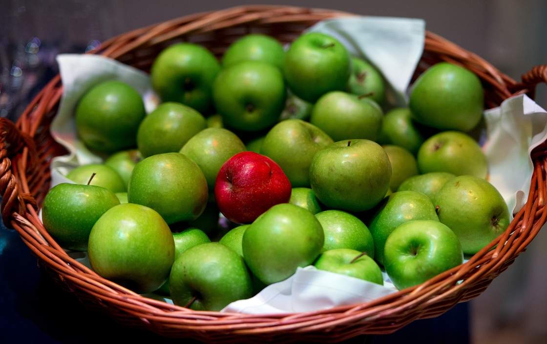 An apple orchard is Nova Scotia's Annapolis Valley is under quarantine after the detection of a destructive pest, apple proliferation phytoplasma, near Kentville. 