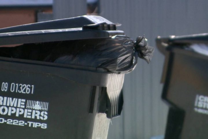Garbage and recycling bins booted back to the back lanes for collection in Saskatoon.