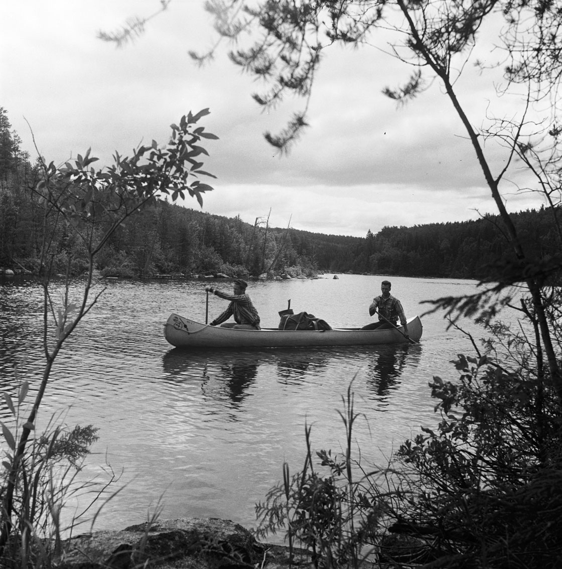 Circa 1950: A group of campers row their canoe through the Superior National Forest in Canada. 