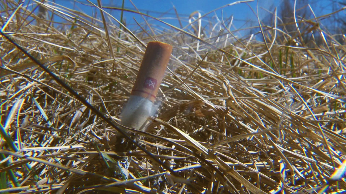 Cigarettes that aren't properly disposed of ignite many grass fires.