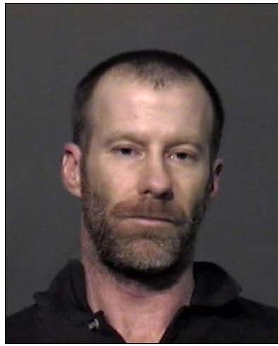 Body discovered on Colony Farm trail in Coquitlam - image