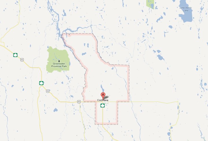 Two women scare off bear that attacked man in northern Ontario ...