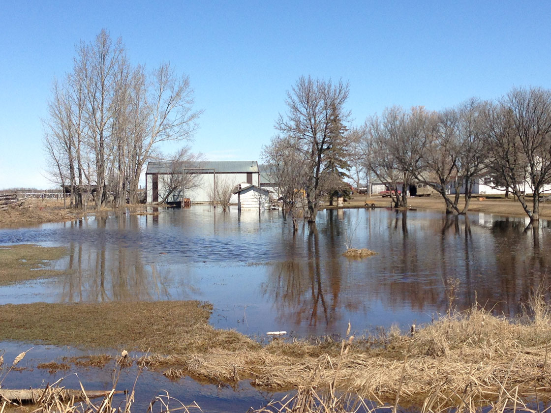 Flooding situation just west of Saskatoon in the R.M. of Corman Park on Wednesday.