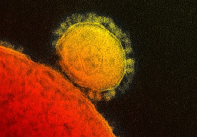 The MERS virus - the newly coined acronym is short for Middle Eastern respiratory syndrome - first came to the world's attention last September, though retrospective testing dates the earliest known cases to a hospital outbreak in Jordan in April 2012.