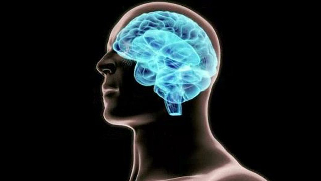 Scientists have advanced the understanding of the physical root of depression.