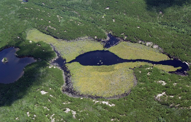 A lake part of the Experimental Lakes Area Reservoir Project is pictured in an undated photo.