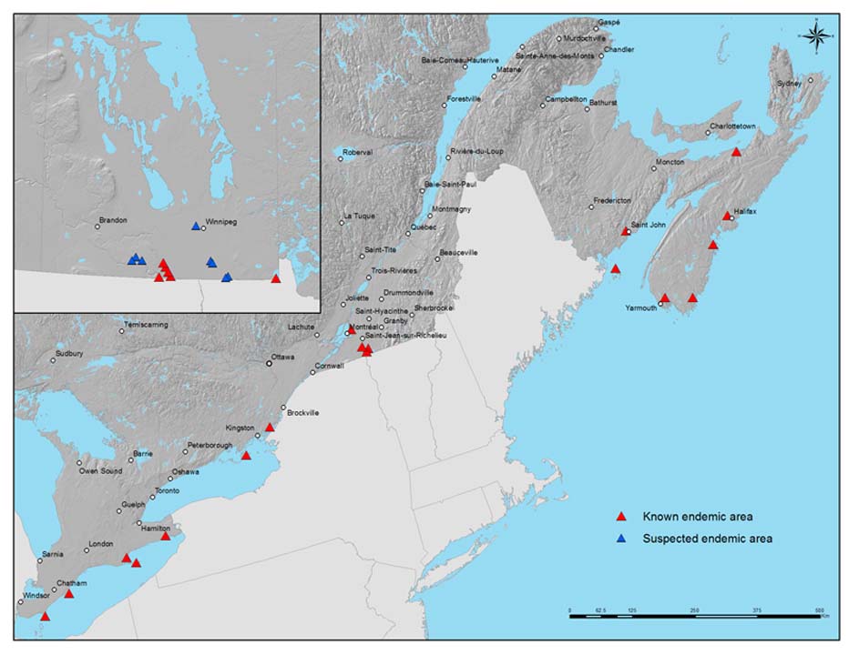 A map showing locations of known (red triangles) and suspected (blue triangles) Lyme endemic areas in eastern and (inset) central Canada.