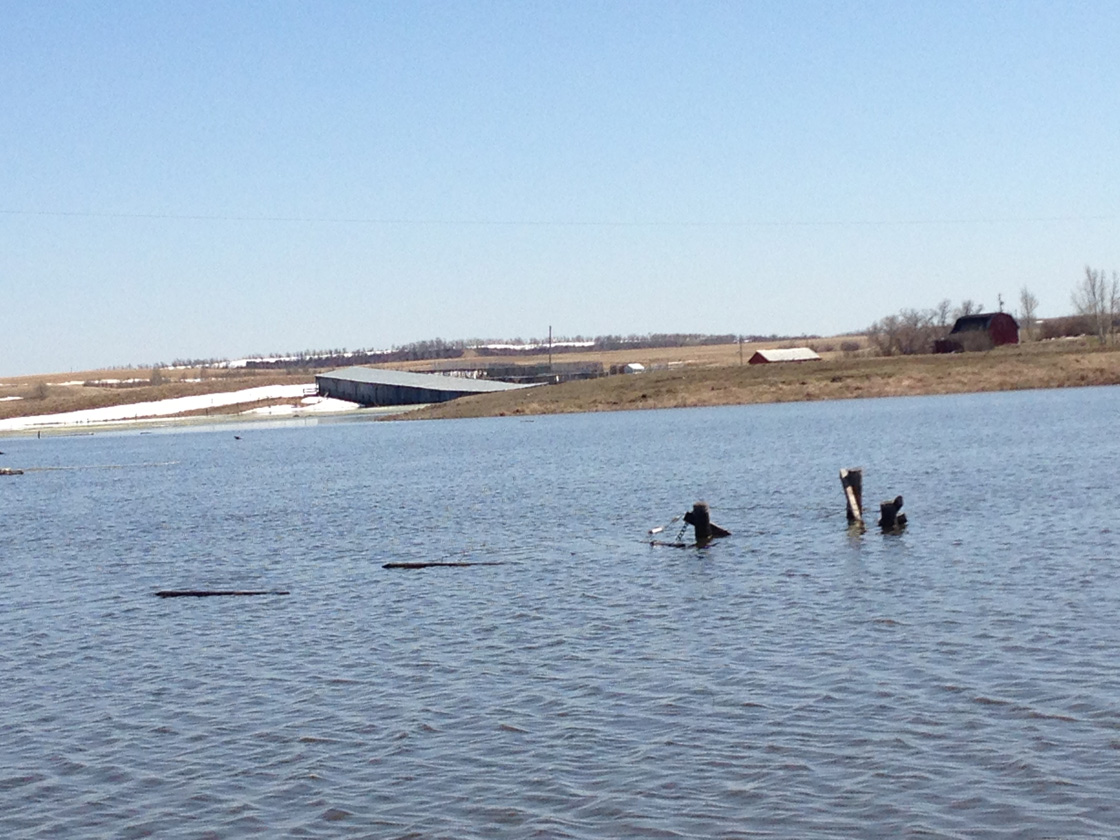 A look at areas of Saskatchewan that have been hit, so far, by spring flooding in 2013.