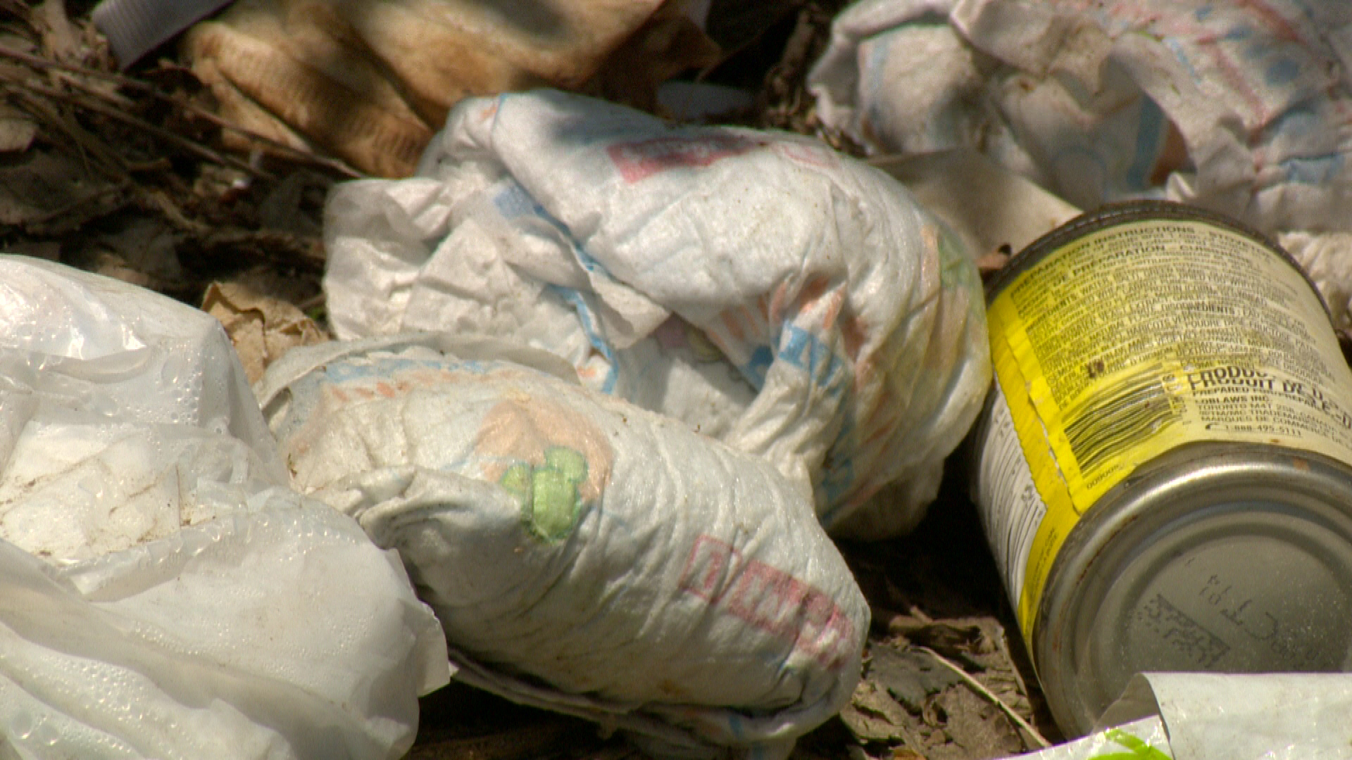 Volunteers come together to clear Regina North Central garbage piles